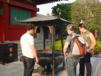DSC01010.JPG